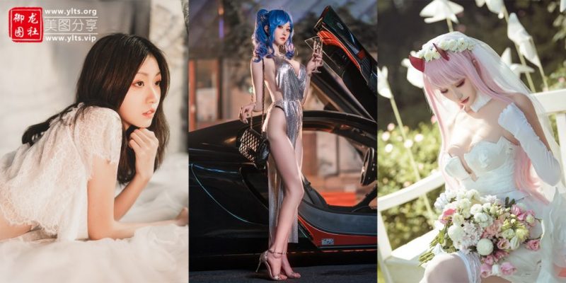 沧霁桔梗 12套合集 #284-老司机图社