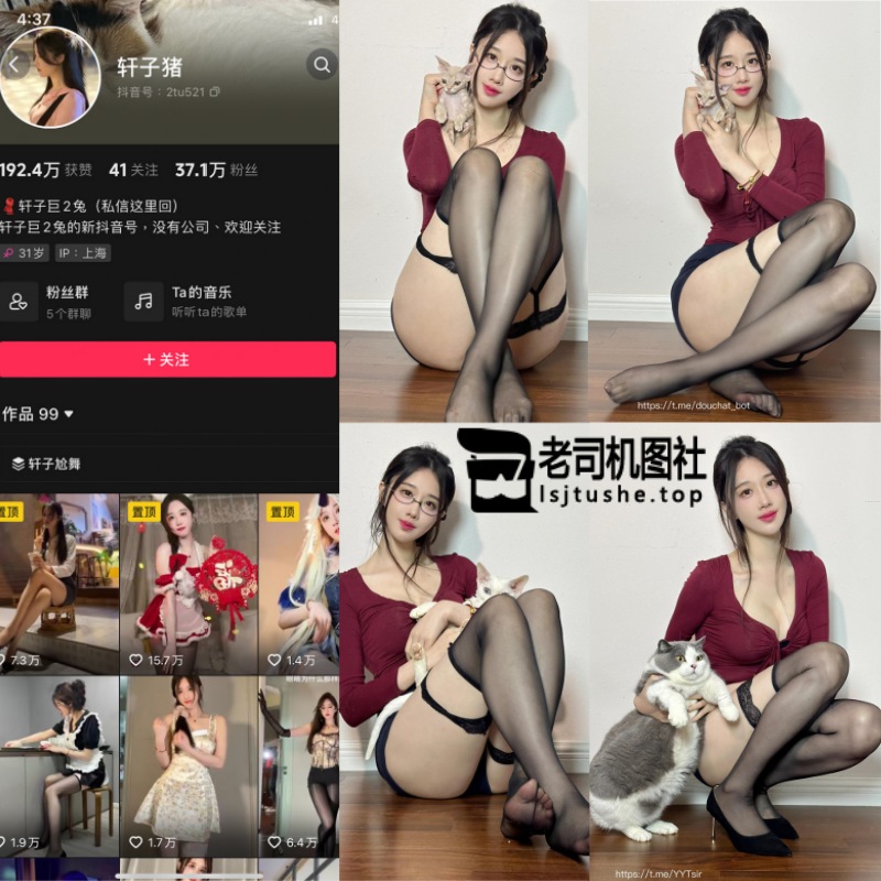 轩子巨2兔