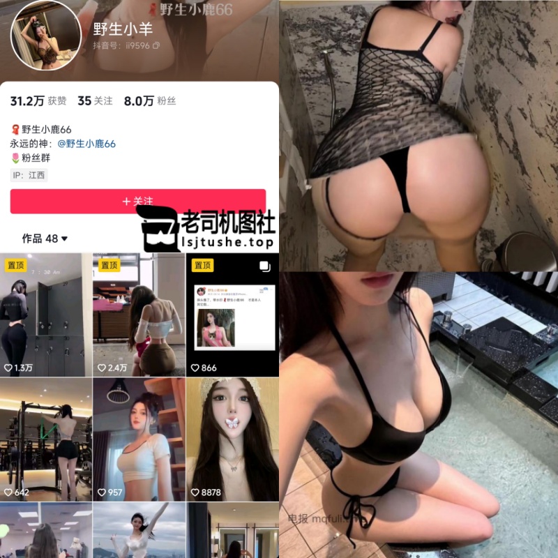 野生小羊 (3)