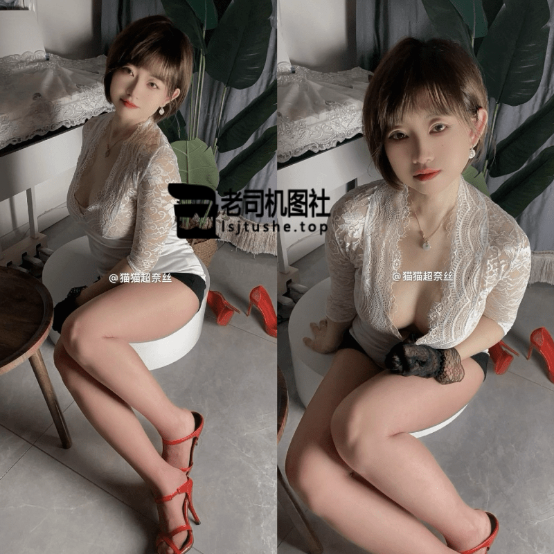 猫猫超奈丝2